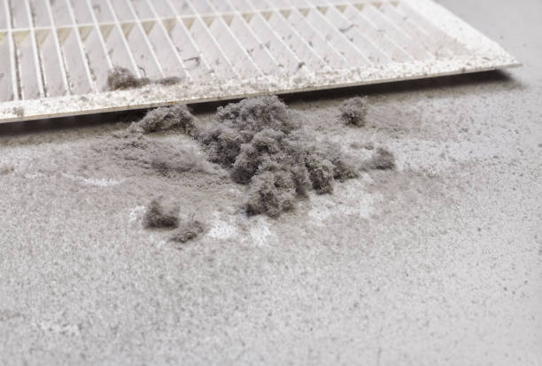 Best Air Duct Cleaning Near Me  in Old Miakka, FL