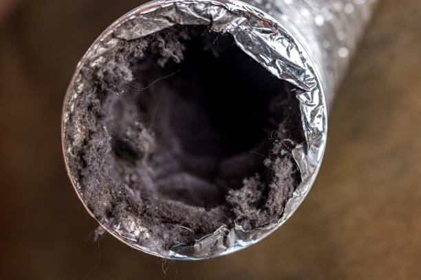 Best Home Air Vent Cleaning  in Old Miakka, FL